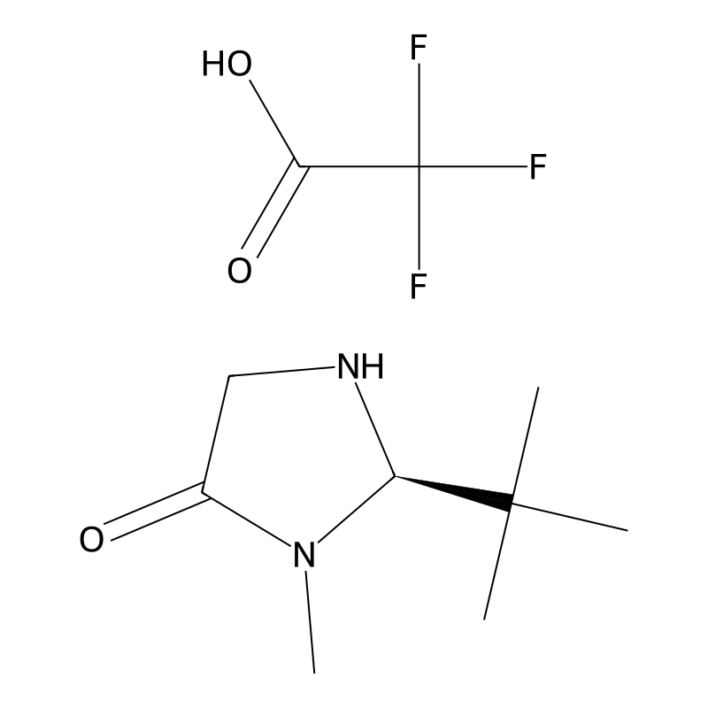 (R)-(-)-2-(tert-Butyl)-3-methyl-4-imidazolidinone trifluoroacetic acid