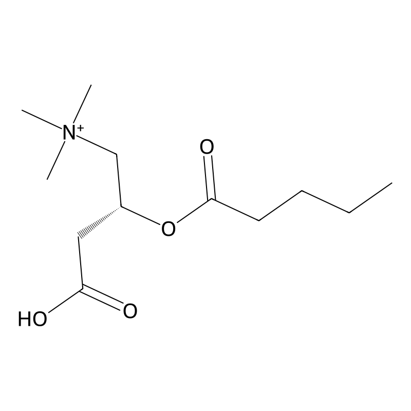 O-valeroyl-L-carnitine