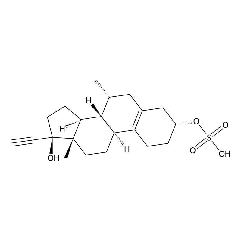 3|A-Sulfooxy Tibolone