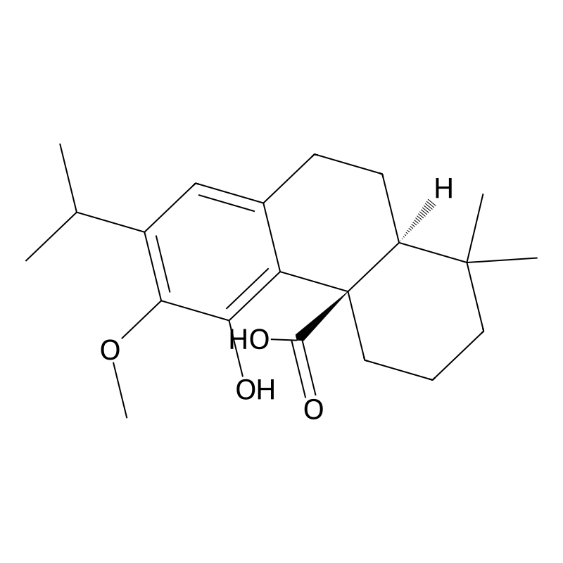 12-O-Methylcarnosic acid