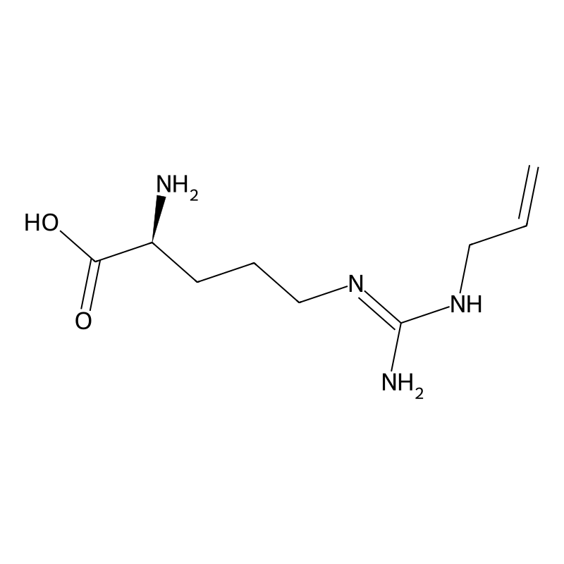 omega-N-Allylarginine