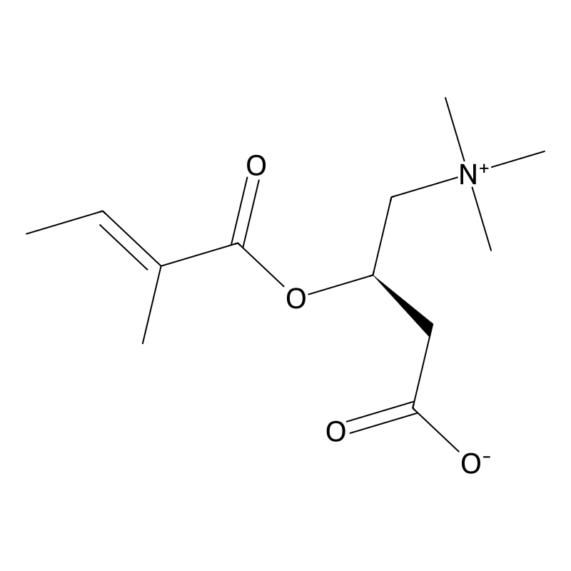 O-tiglyl-L-carnitine