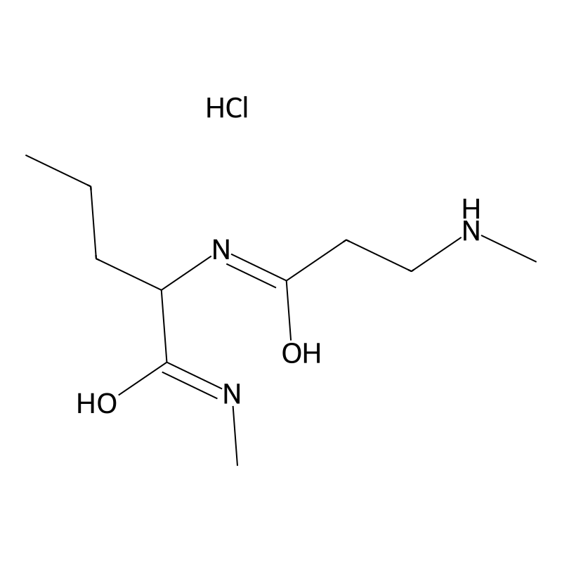 N-Methyl-2-[3-(methylamino)propanoylamino]pentanam...