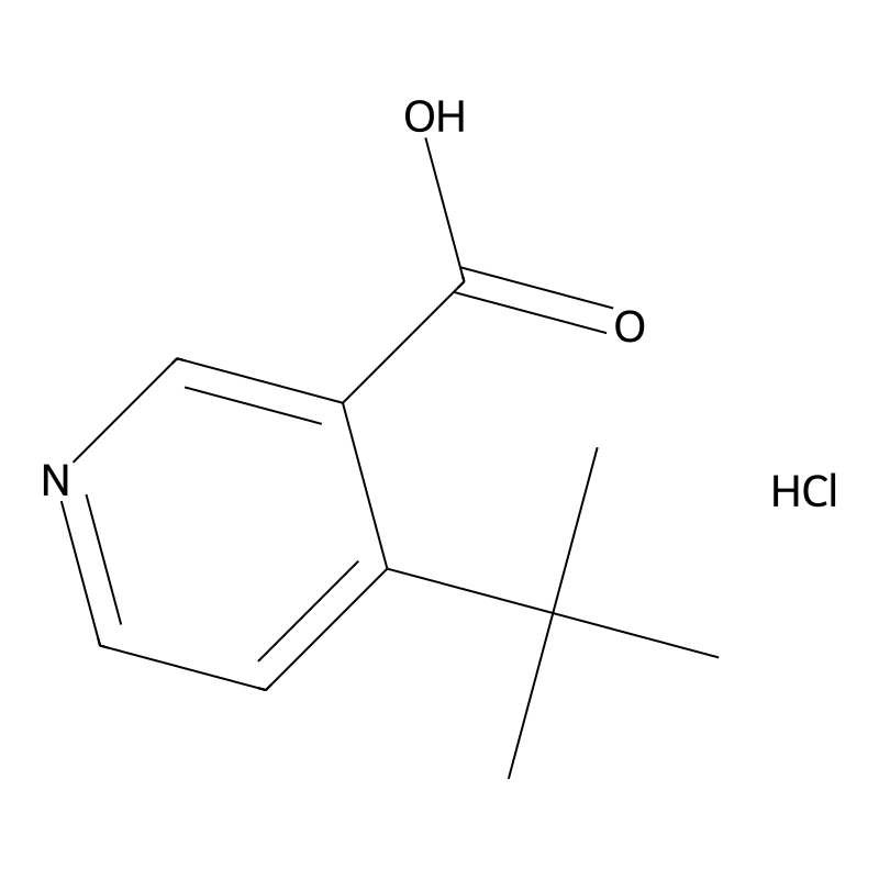 4-Tert-butylpyridine-3-carboxylic acid hydrochlori...