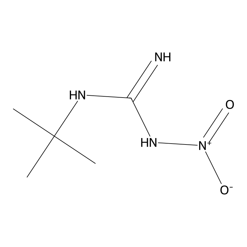 N'-tert-butyl-N-nitroguanidine