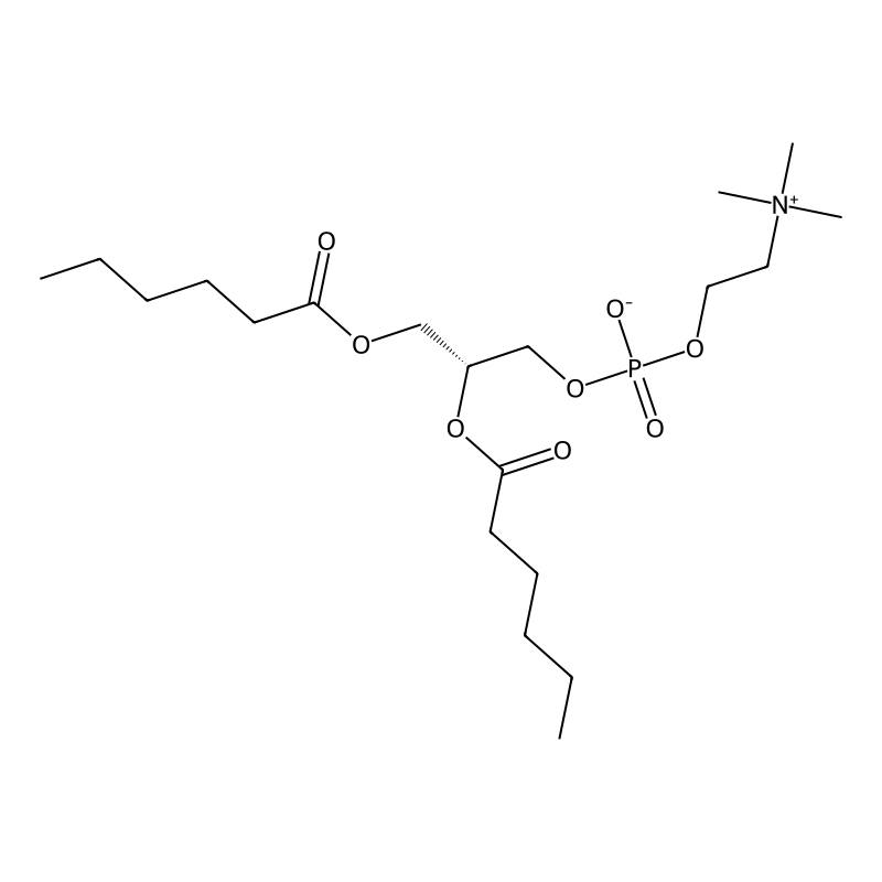 1,2-Dihexanoyl-sn-glycero-3-phosphocholine