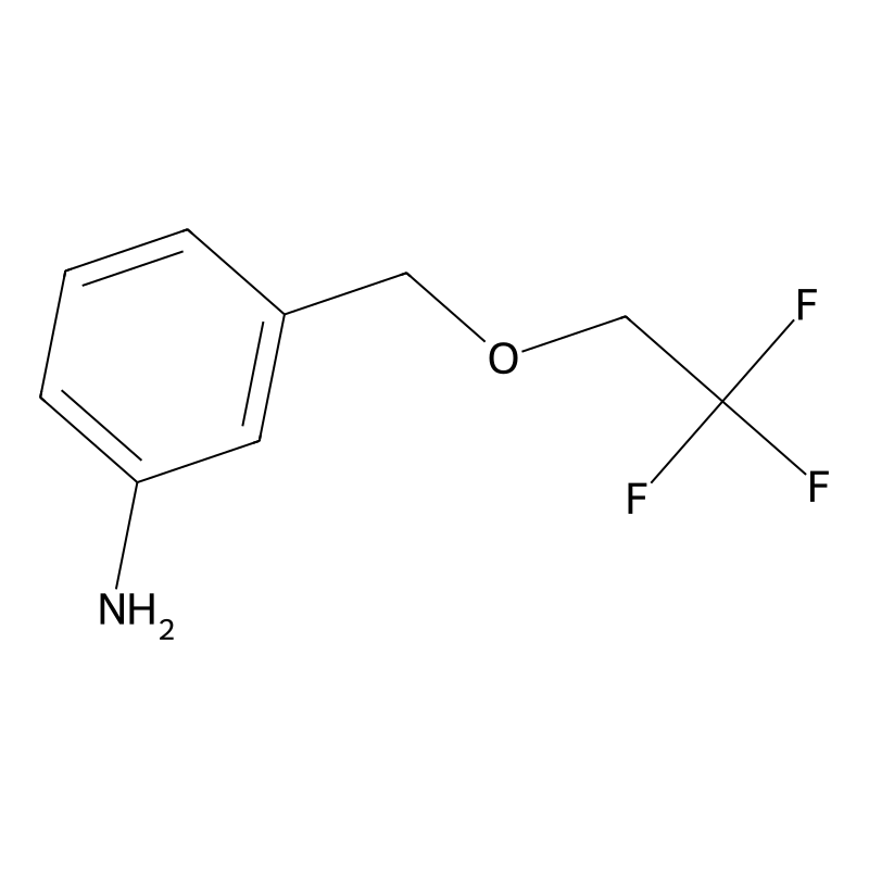 3-[(2,2,2-Trifluoroethoxy)methyl]aniline