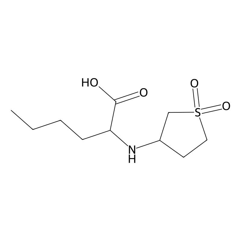 2-[(1,1-Dioxothiolan-3-yl)amino]hexanoic acid