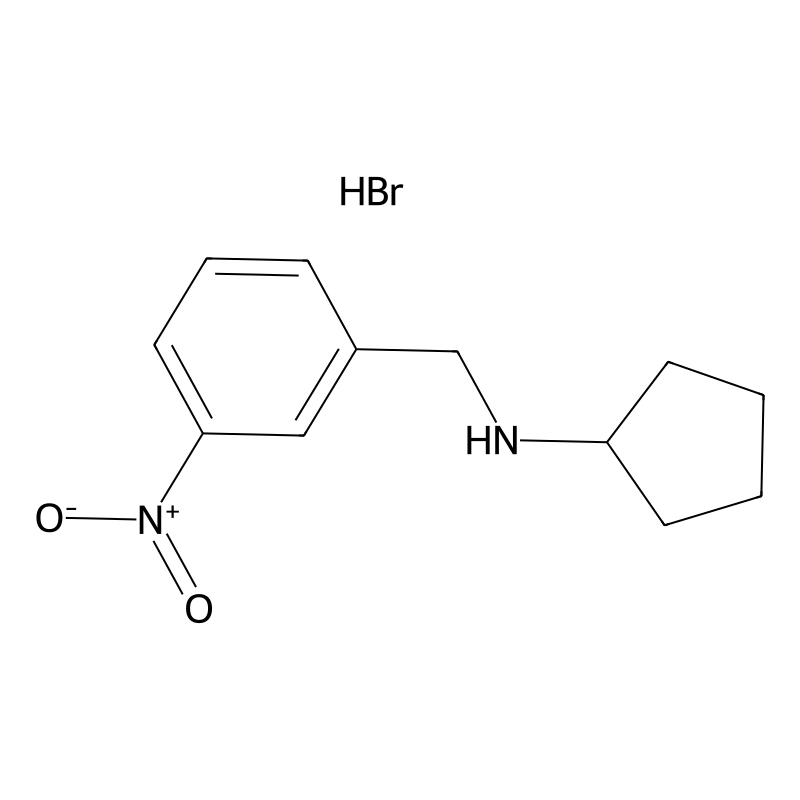 N-(3-nitrobenzyl)cyclopentanamine hydrobromide