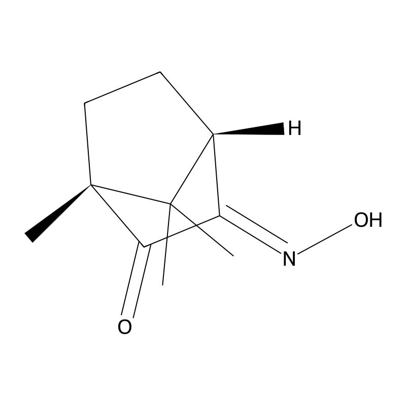 (1R,4S,E)-3-(Hydroxyimino)-1,7,7-trimethylbicyclo[...