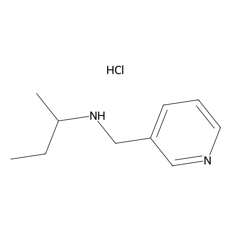 N-(3-Pyridinylmethyl)-2-butanamine hydrochloride