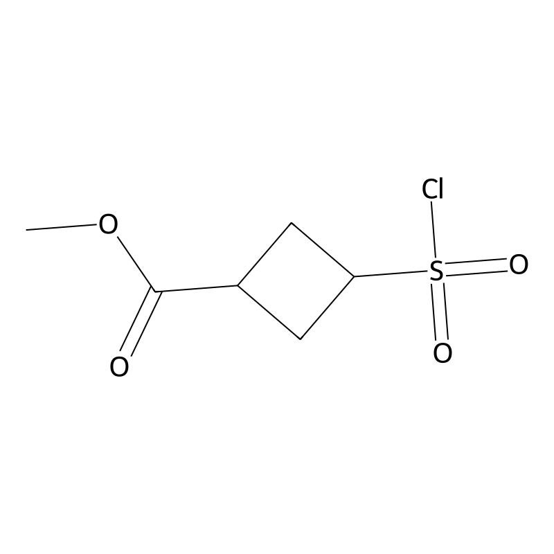 Methyl 3-(chlorosulfonyl)cyclobutane-1-carboxylate