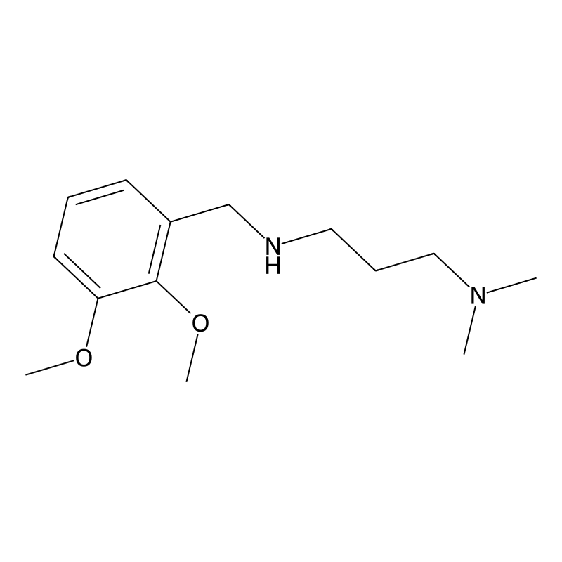 N'-(2,3-dimethoxybenzyl)-N,N-dimethylpropane-1,3-d...