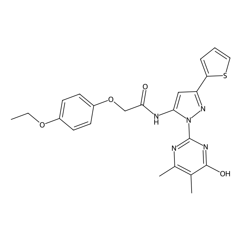 Buy N Dimethyl Oxo Dihydropyrimidin Yl Thiophen