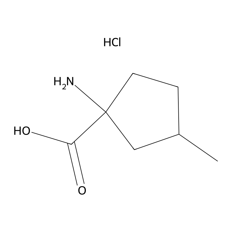 1-Amino-3-methylcyclopentane-1-carboxylic acid hyd...