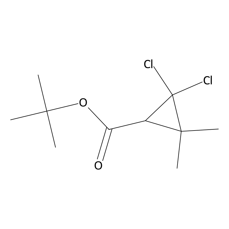 Tert-butyl 2,2-dichloro-3,3-dimethylcyclopropane-1...