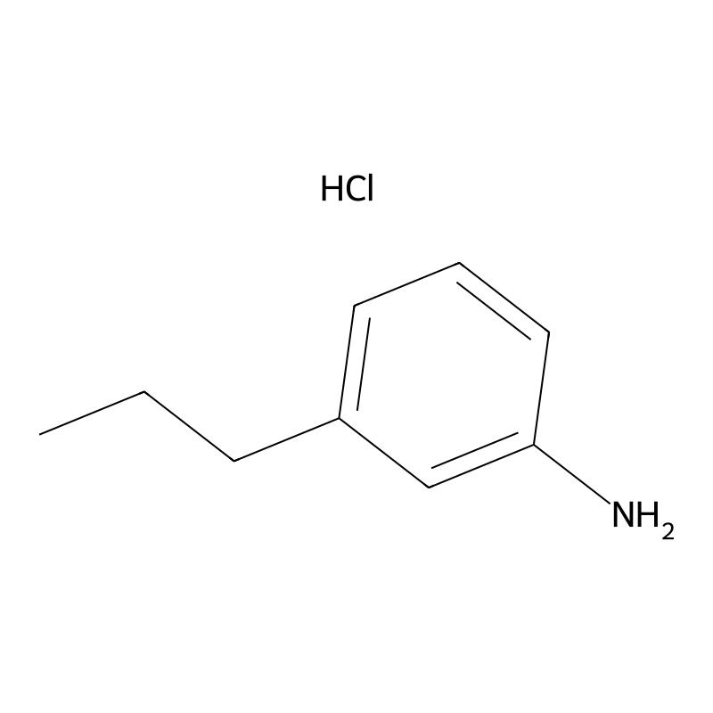 3-Propylaniline hydrochloride