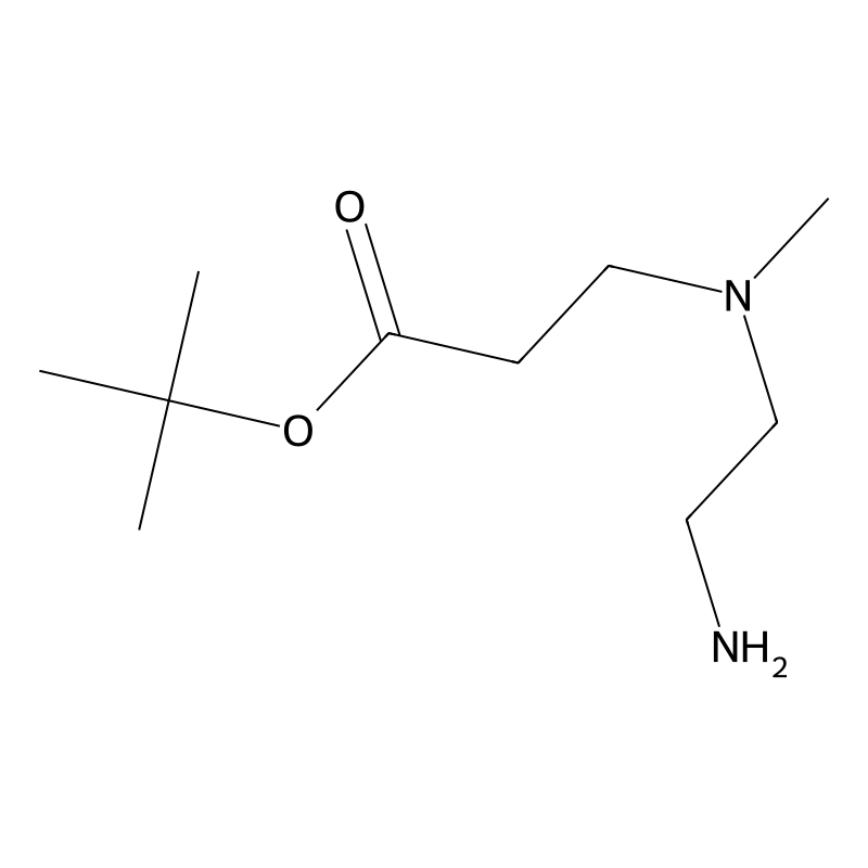 Tert-butyl 3-[2-aminoethyl(methyl)amino]propanoate