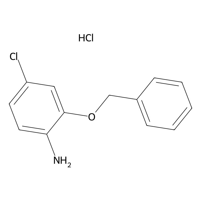 2-(Benzyloxy)-4-chloroaniline hydrochloride