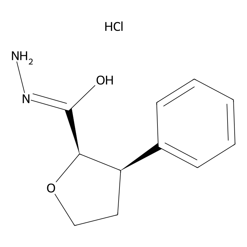 Rel-(2R,3R)-3-phenyltetrahydrofuran-2-carbohydrazi...