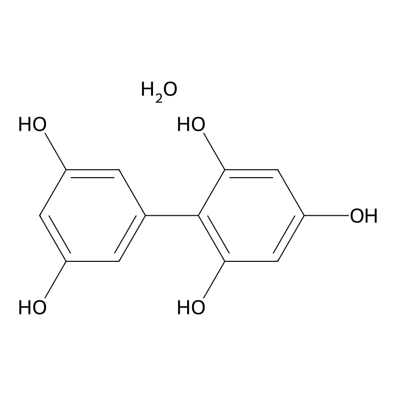 [1,1'-Biphenyl]-2,3',4,5',6-pentaol hydrate