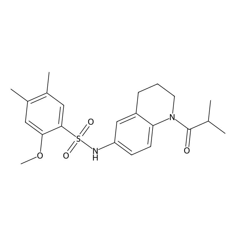 2-methoxy-4,5-dimethyl-N-[1-(2-methylpropanoyl)-1,...