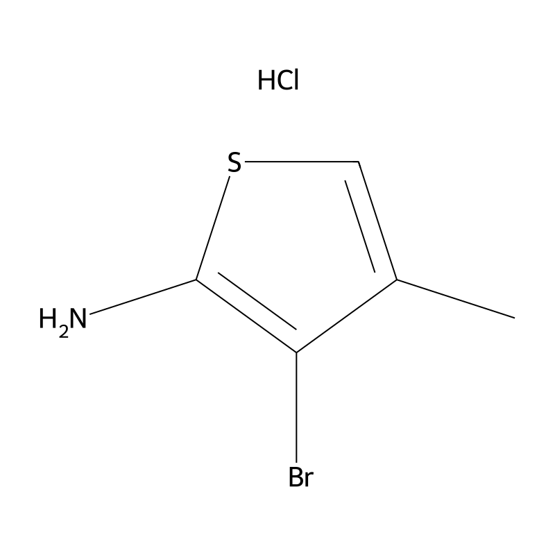 3-Bromo-4-methylthiophen-2-amine;hydrochloride