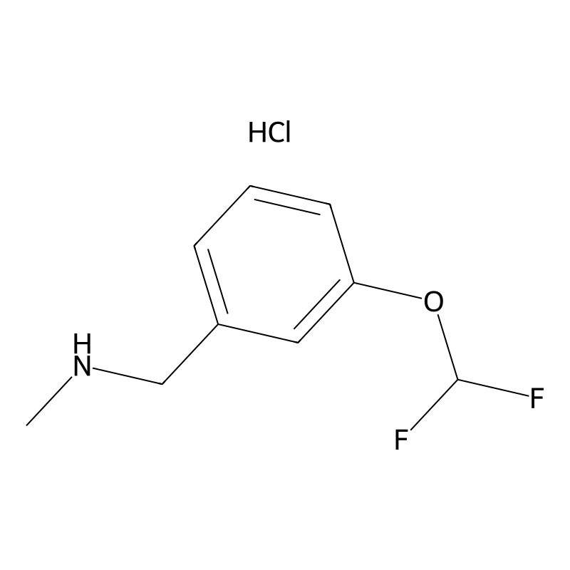 {[3-(Difluoromethoxy)phenyl]methyl}(methyl)amine h...