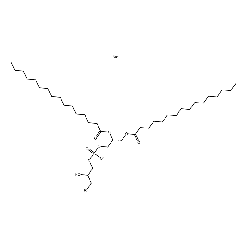 1,2-Dipalmitoyl-sn-glycero-3-phospho-(1'-rac-glyce...