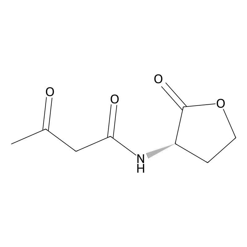 N-(3-Oxobutanoyl)-L-homoserine lactone