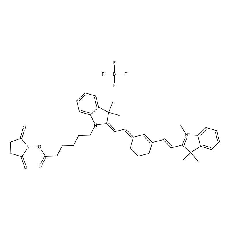 Cy7-NHS ester tetrafluoroborate