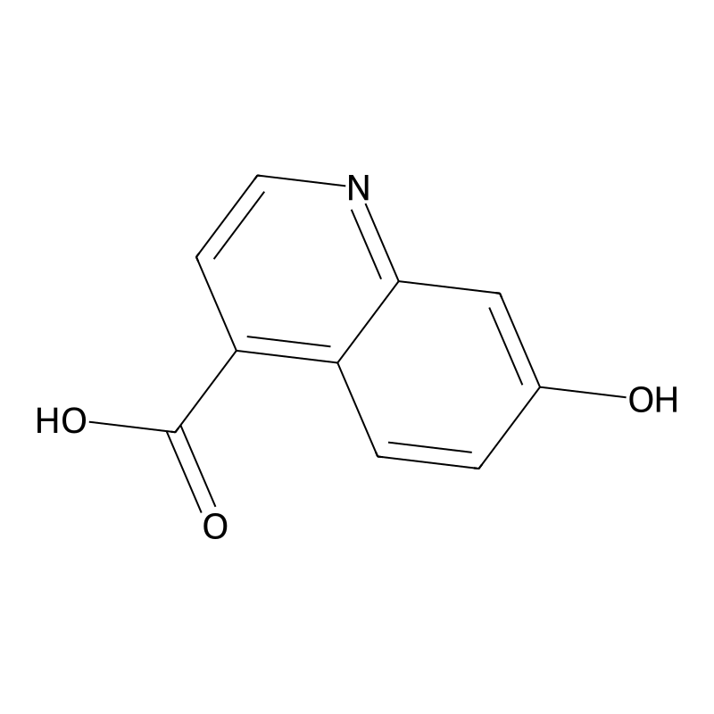 7-Hydroxyquinoline-4-carboxylic acid