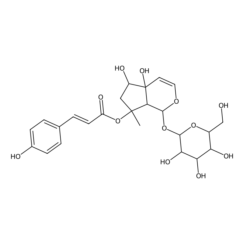 8-p-Coumaroylharpagide