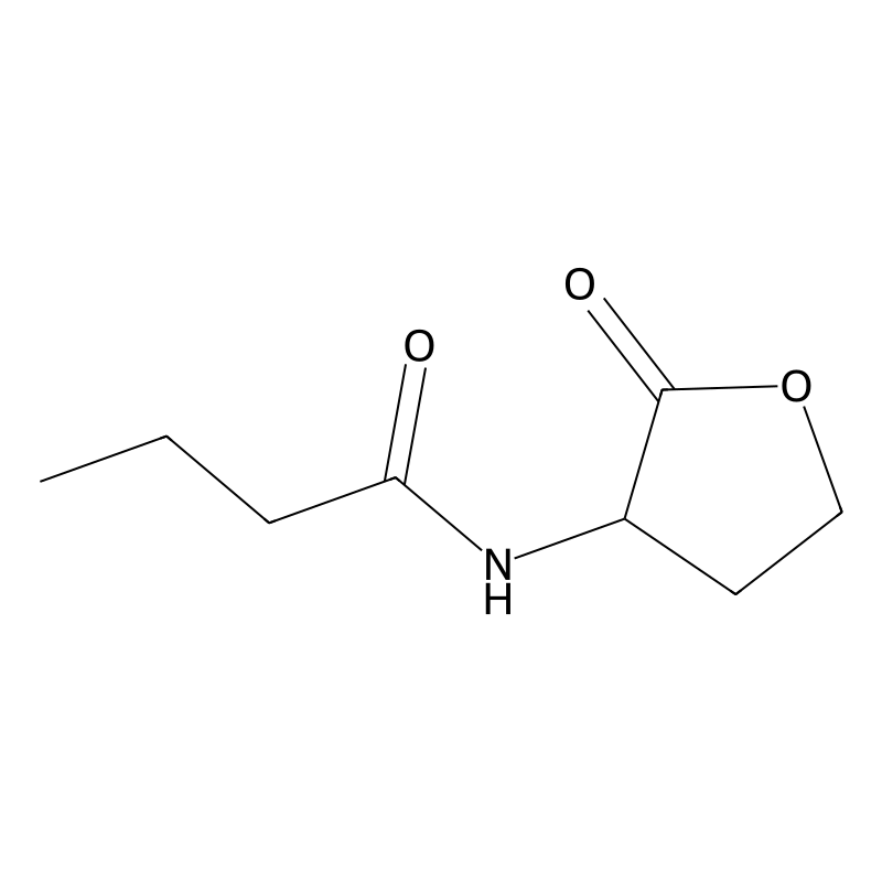 N-Butyrylhomoserine lactone