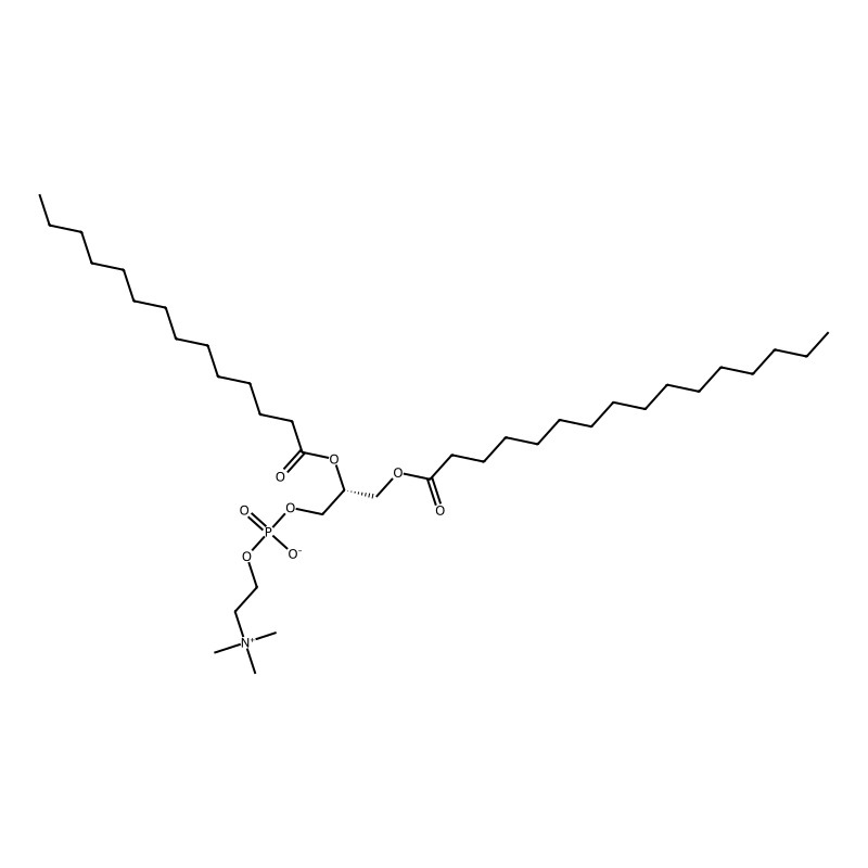 1-Palmitoyl-2-myristoyl-sn-glycero-3-phosphocholin...