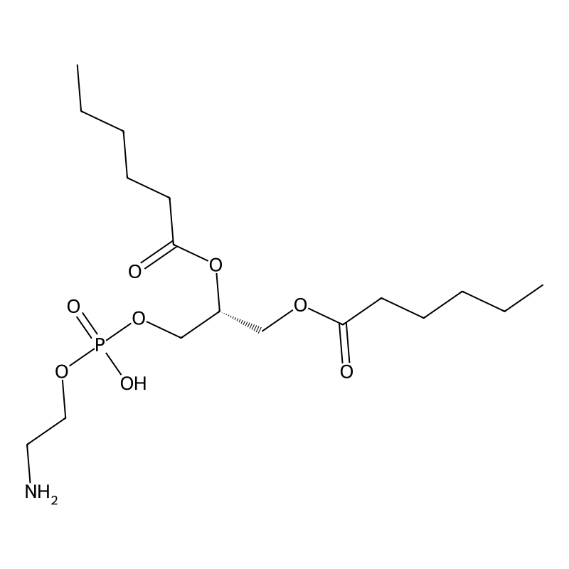 1,2-Dihexanoyl-sn-glycero-3-phosphoethanolamine