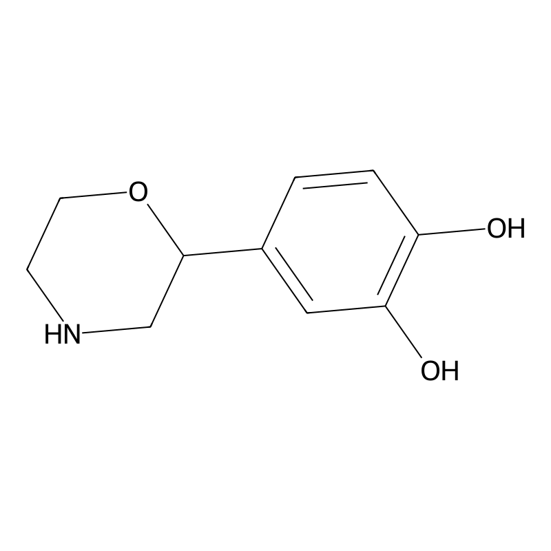 4-morpholin-2-ylbenzene-1,2-diol