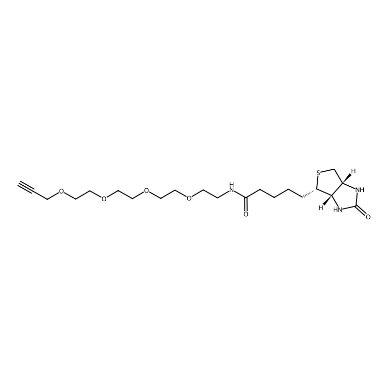 Biotin-PEG4-Alkyne