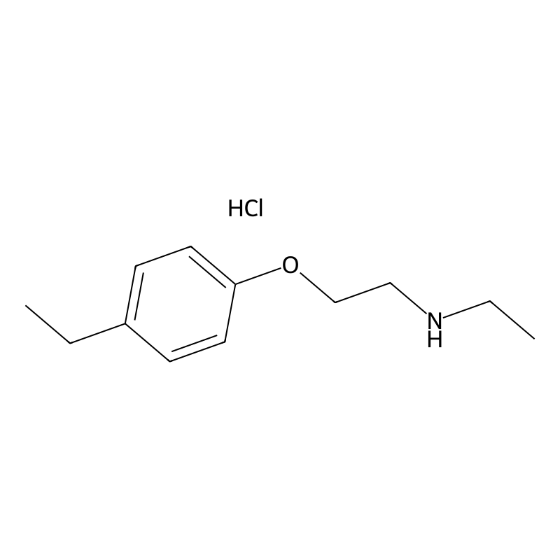 N-Ethyl-2-(4-ethylphenoxy)ethanamine hydrochloride