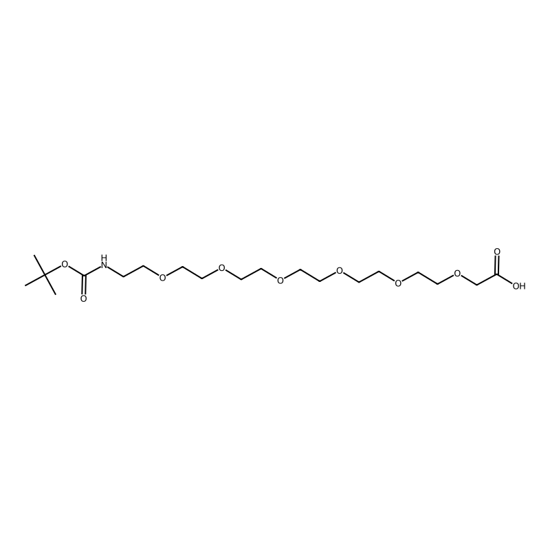 Boc-NH-PEG6-CH2COOH