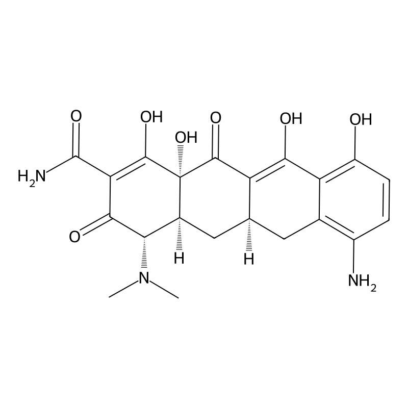 7-Didemethyl Minocycline