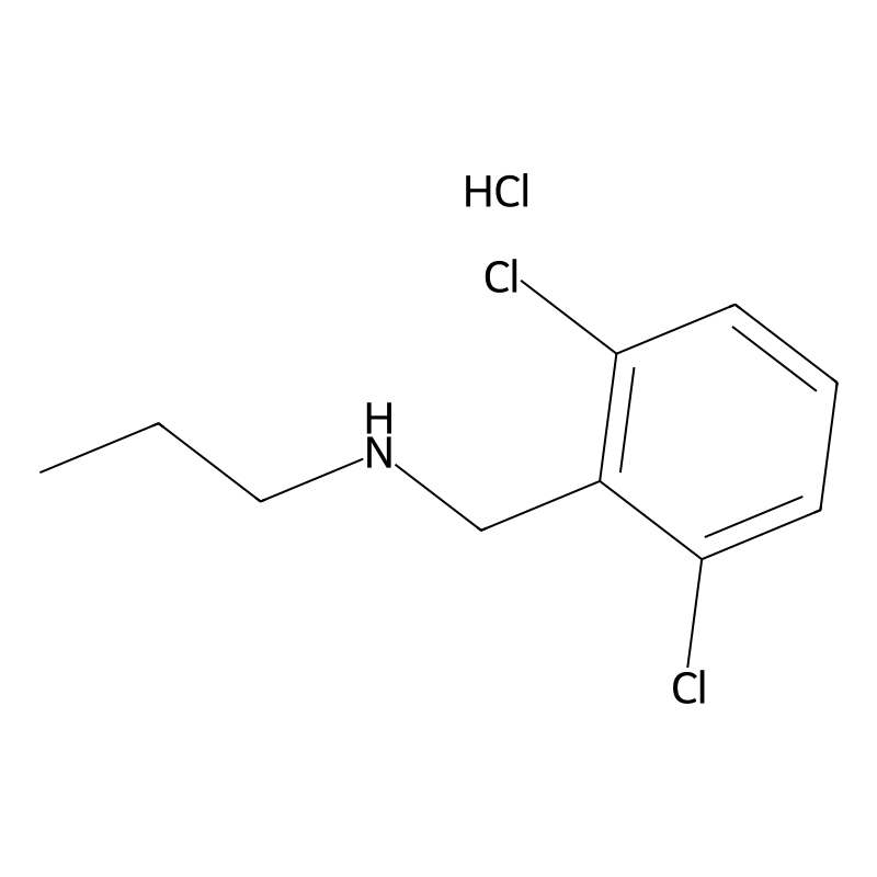 [(2,6-Dichlorophenyl)methyl](propyl)amine hydrochl...