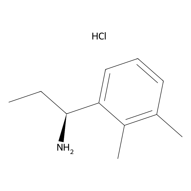 (S)-1-(2,3-Dimethylphenyl)propan-1-amine hydrochlo...