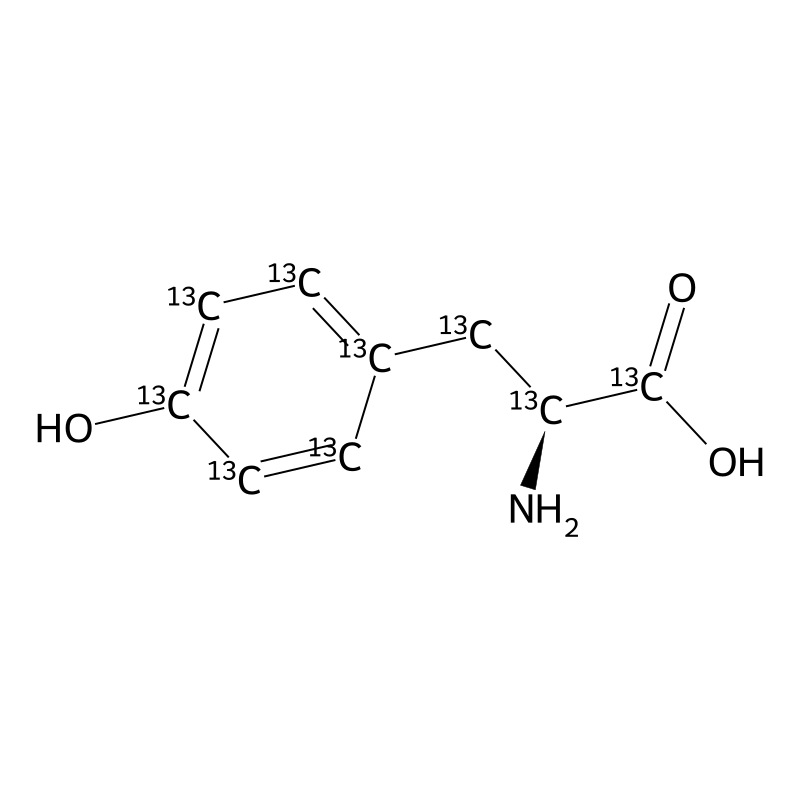 L-Tyrosine-13C9