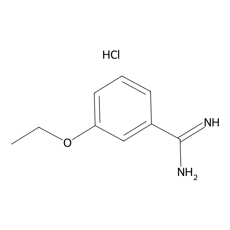 3-Ethoxybenzene-1-carboximidamide hydrochloride