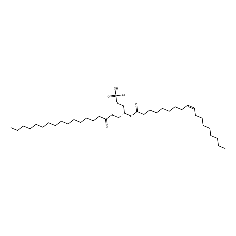 1-Palmitoyl-2-oleoyl-sn-glycero-3-phosphoglycerol,...