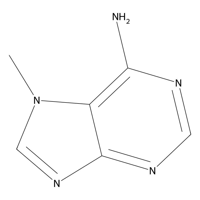 7-Methyladenine