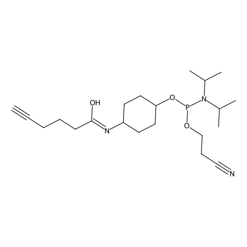 Alkyne Phosphoramidite, 5'-terminal