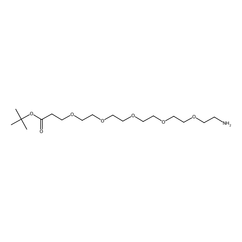 Amino-PEG5-t-butyl ester