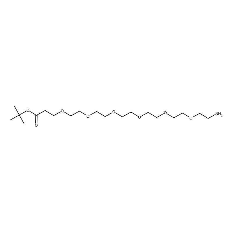 Amino-PEG6-t-butyl ester